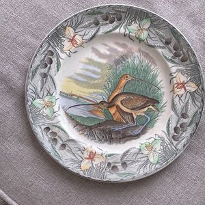 Long Billed Curlew The Birds of America Collectors’ Plate